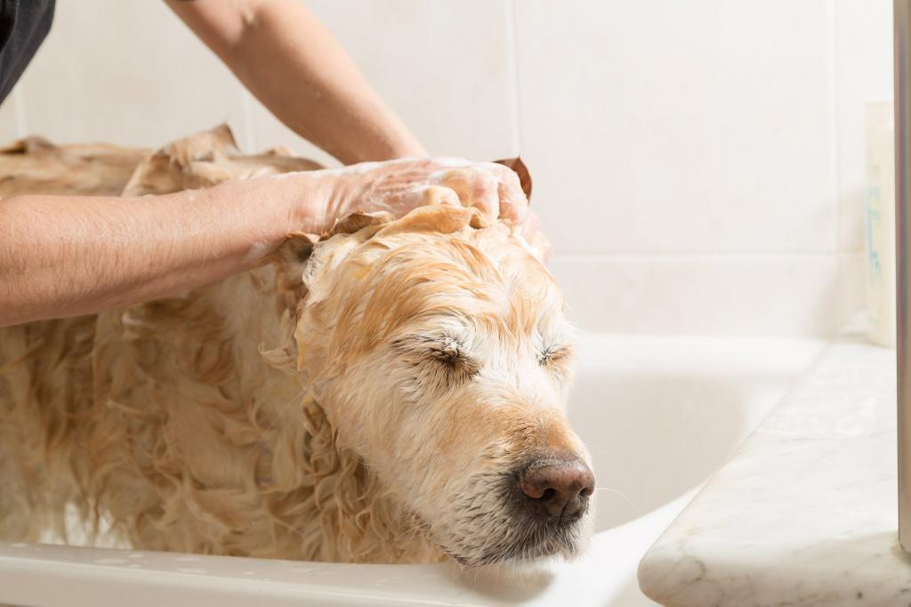 bathing dogs