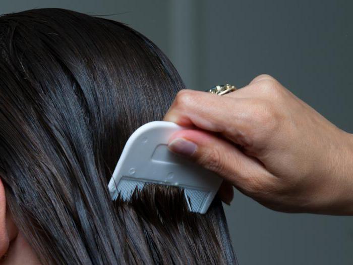 Как правильно вычесать гнид с длинных волос гребешком