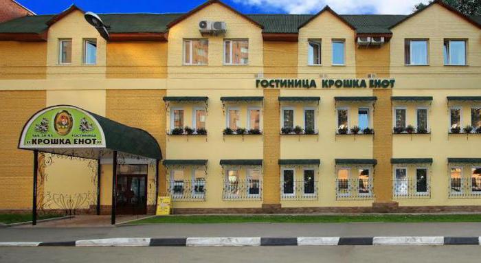 Hotel "Little Raccoon" (Krasnogorsk)