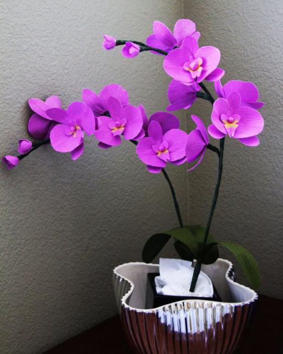 орхидея из гофрированной бумаги - Орхидея
