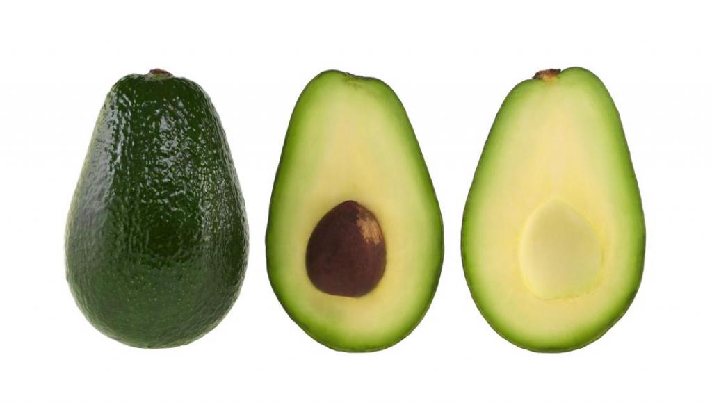 grow avocados from seed