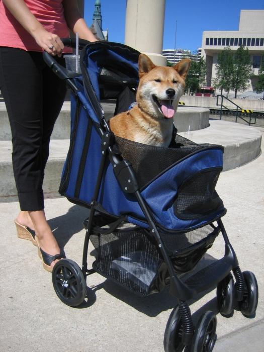 Прогулочная коляска для собак
