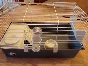 Cages for decorative rabbits