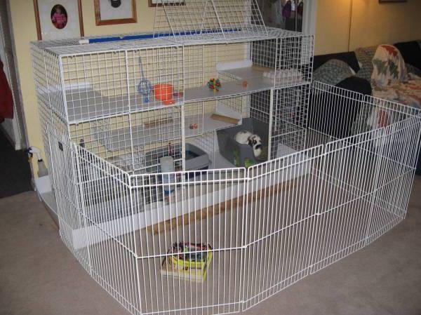 Cage for a decorative rabbit price