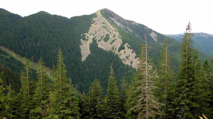 natural zone of Ukraine