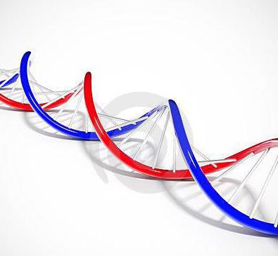 basic principles of the chromosome theory of morgan