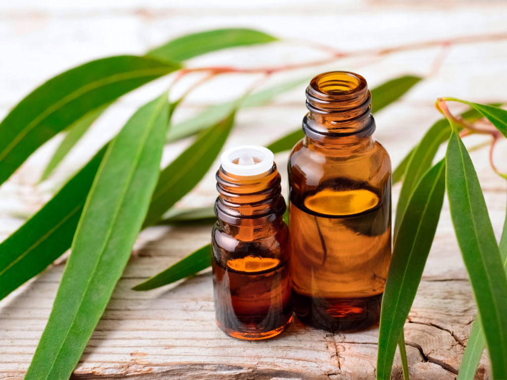 Eucalyptus oil