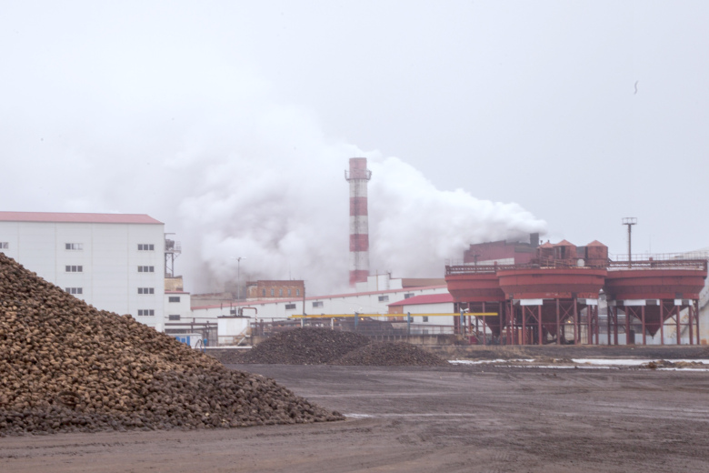 Крупнейшие сахарные заводы России