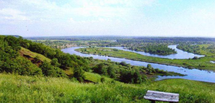 река ворона тамбовская область