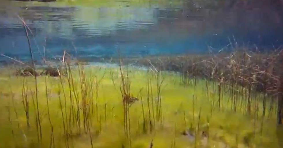 Целебные грязи Голубых озер