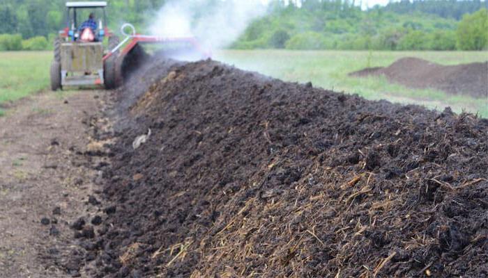 how to use pig manure as fertilizer