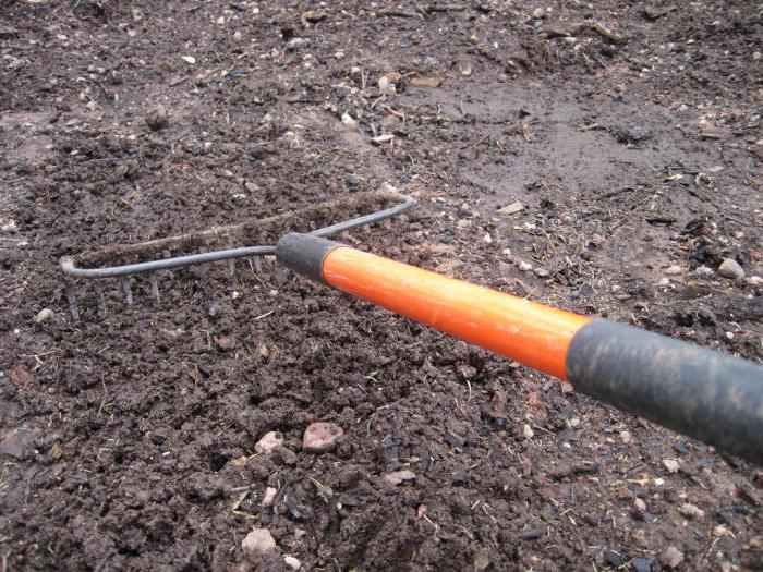 pig dung with sawdust as fertilizer reviews