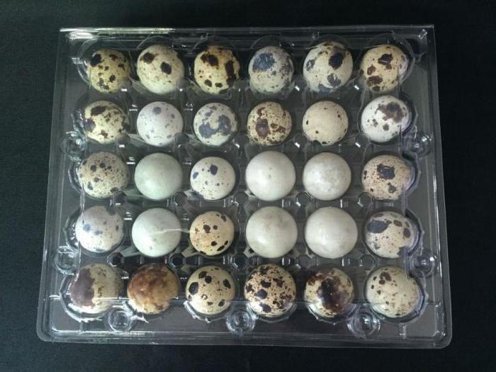 упаковка для перепелиных яиц