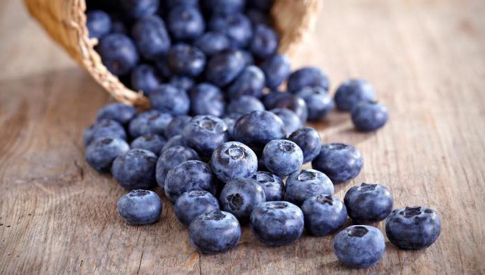 blueberries for breastfeeding
