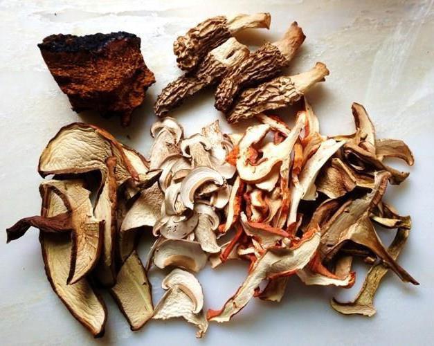 what mushrooms can be dried with an electric dryer