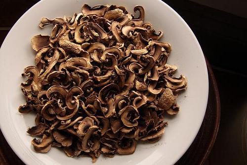 what mushrooms can be dried at home