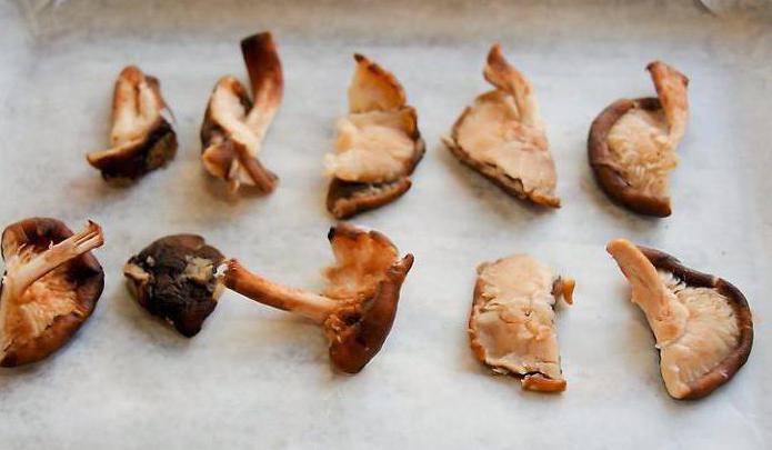 what mushrooms are dried for the winter