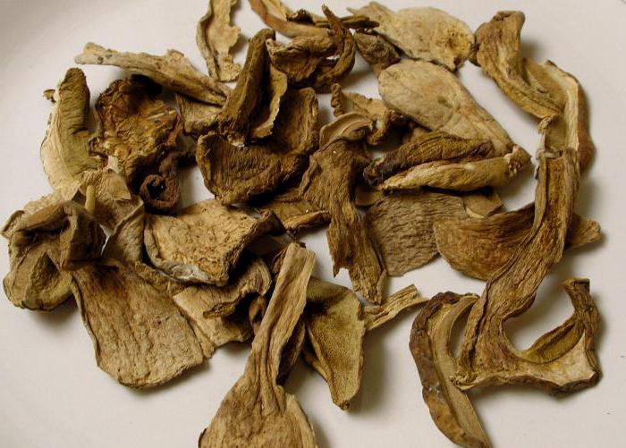 what mushrooms to dry at home