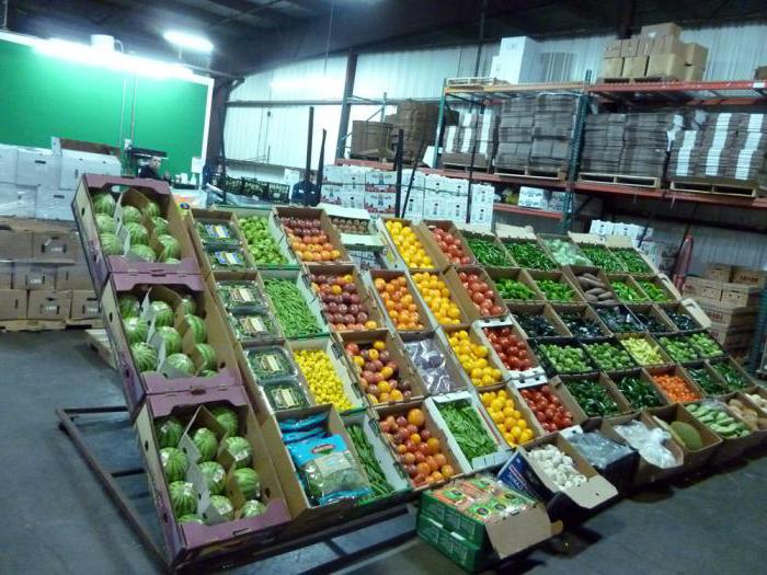 Хранение фруктов и овощей бизнес план thumbnail