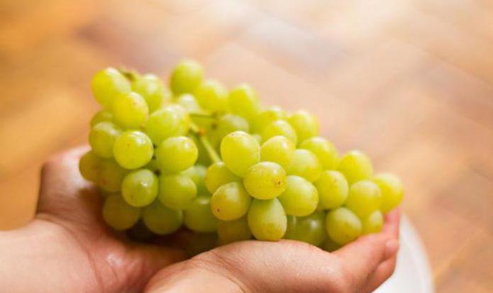 как хранить виноград в холодильнике