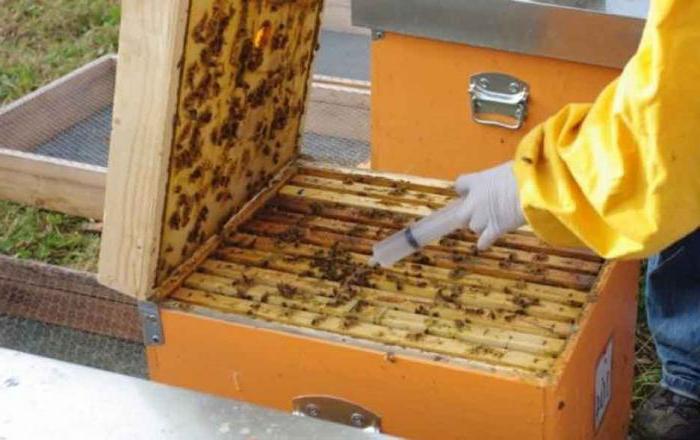 обработка пчел бипином осенью при какой температуре