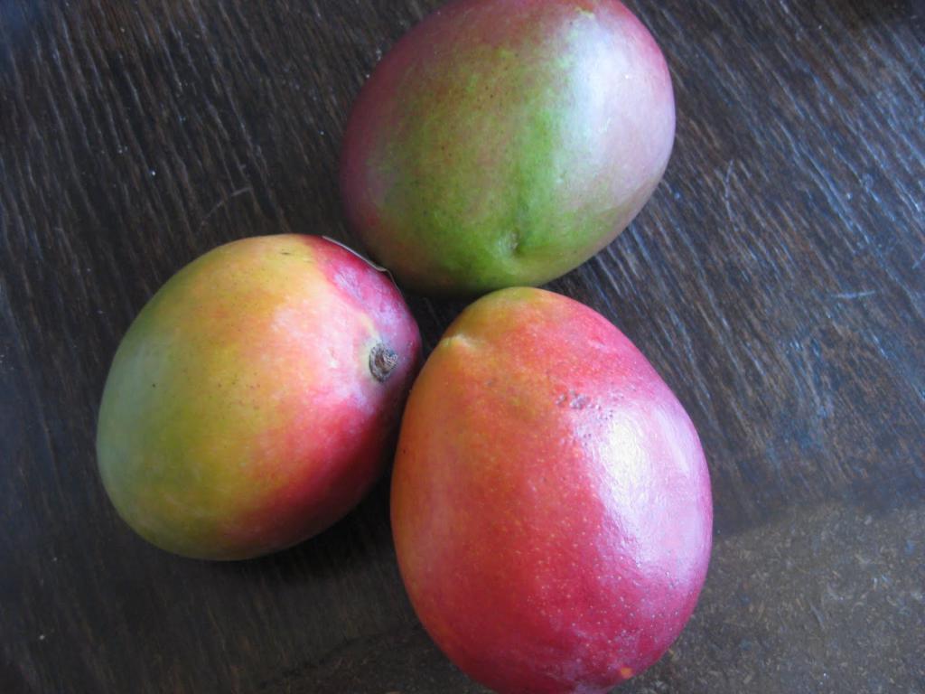 как вырастить плоды манго из косточки