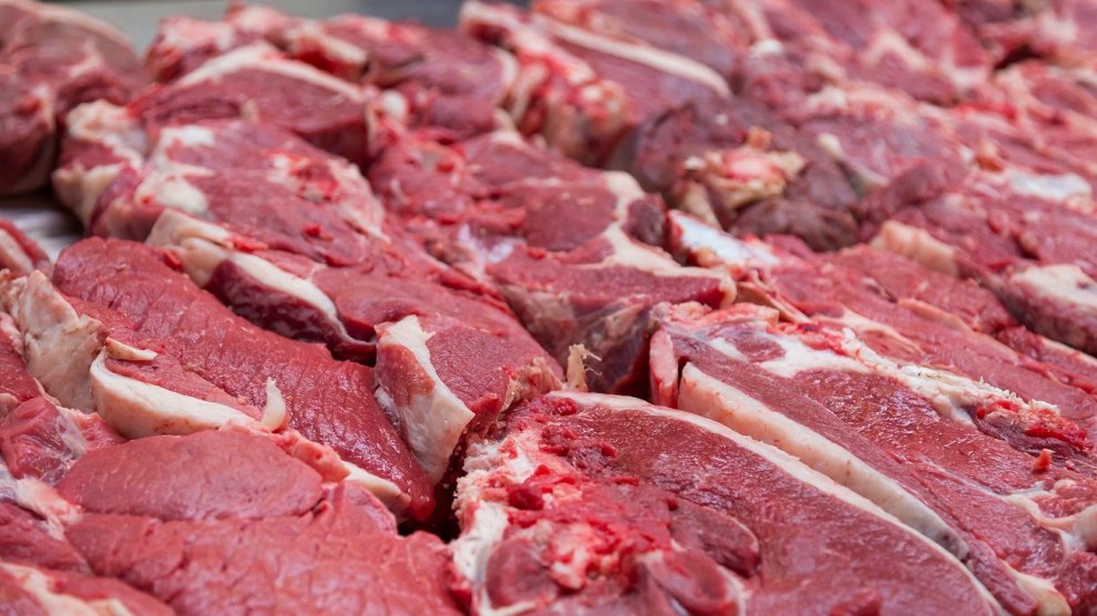 beef meat benefits and harms the body