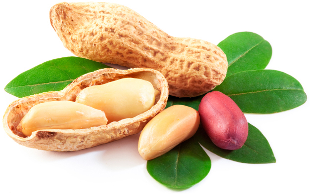 what are the benefits of peanuts