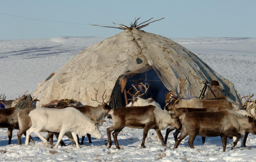 Фото чукчей на севере