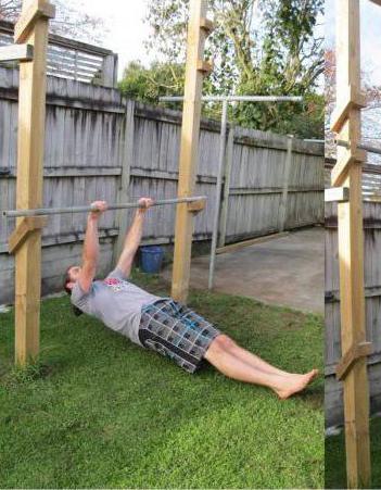 pull-ups on a low bar