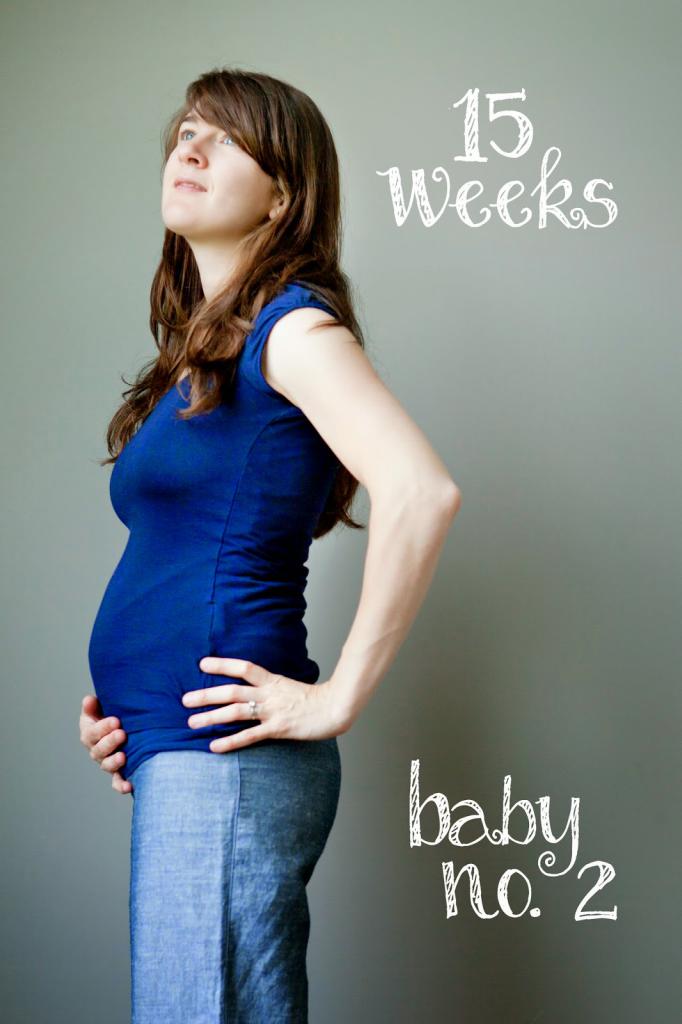 15 акушерская неделя беременности