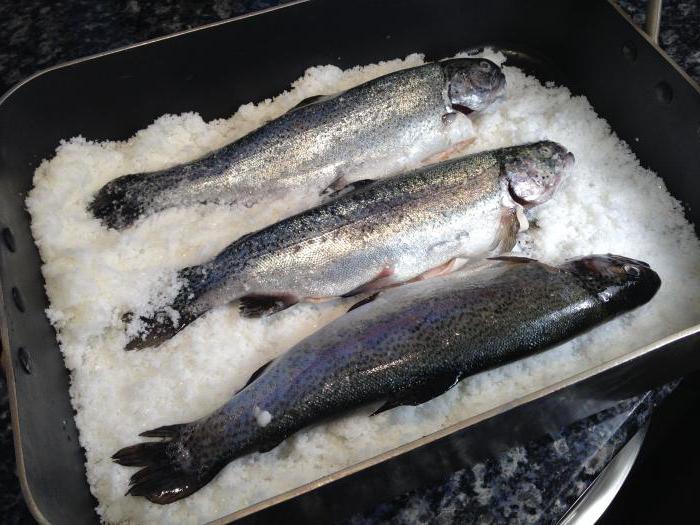 приготовление рыбы в соли в духовке