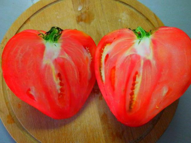 помидоры бычье сердце отзывы с фото томата