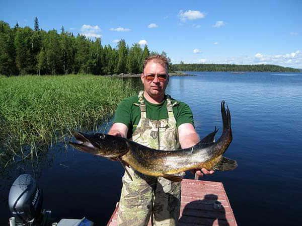 рыбалка в кузькино белгородской области фото