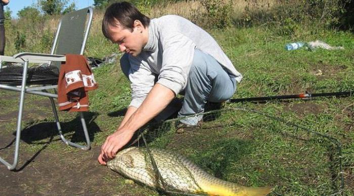 рыбалка в кузькино белгородской области отзывы рыбаков