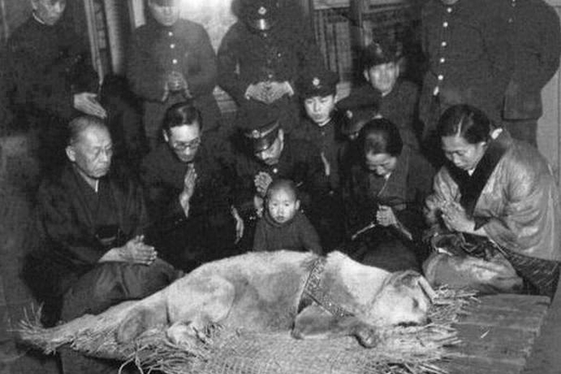 Hachiko's death