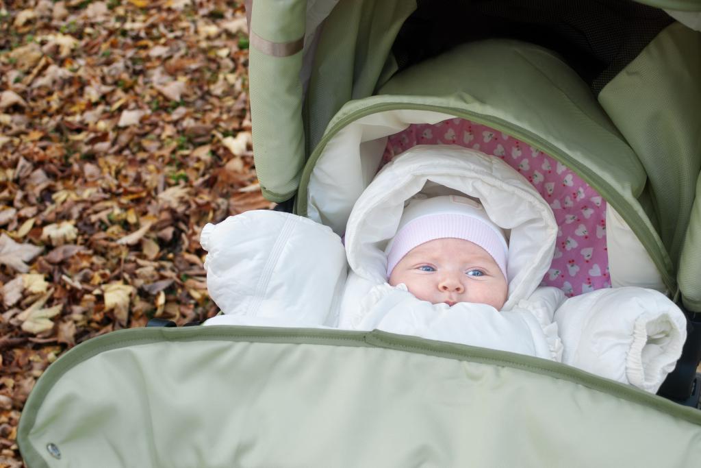 baby in a stroller