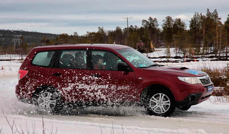 Автомобильные зимние шины Polar SL Cordiant: отзывы, тесты, размеры