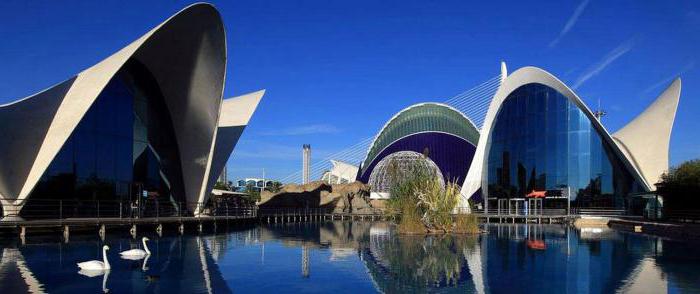 valencia aquarium