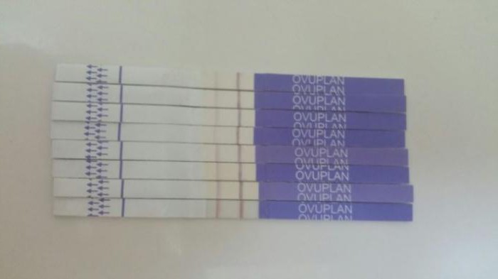 ovuplan ovulation test photo