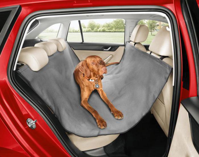 автогамаки для перевозки собак в машине