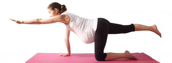 exercise for pregnant women in the gym