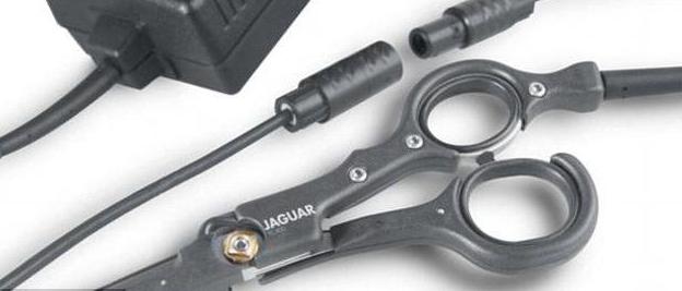 professional hairdressing scissors