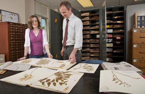 herbarium photo