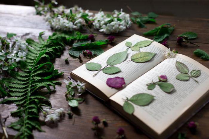 how to make a herbarium