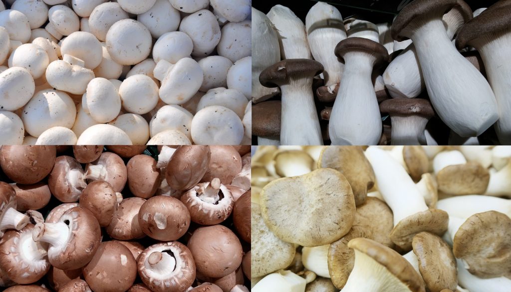 грибной суп из замороженных белых грибов