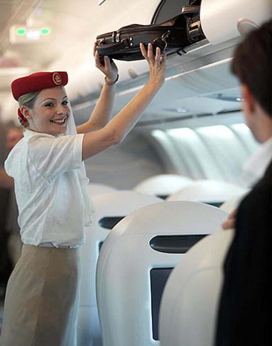 baggage allowance airline Russia economy class