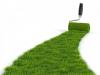 Как сажать газонную траву; пошаговая инструкция технологии посадки