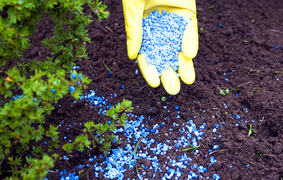 Precipitate phosphate fertilizer and mineral fertilizing