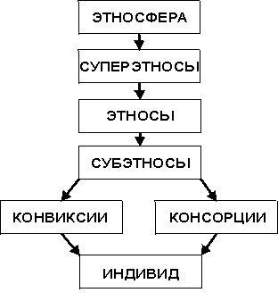 гумилев этногенез и биосфера земли книга